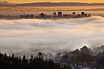 Smog and early winter cloud inversion layer at dawn blankets central city, Christchurch, Canterbury, New Zealand
