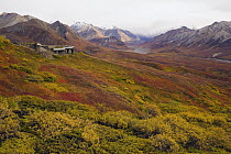 Visitors Center at the base of the Alaska Range, Denali National Park, Alaska