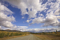 Cumulus clouds above the Alaska Highway, Yukon, Canada