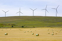 Windmills in wheat fields of a traditional farming community, Alberta, Canada