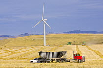 Windmill and trucks collecting harvest in the fields of traditional farming community, Alberta, Canada