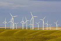 Windmill in fields of traditional farming community, Alberta, Canada