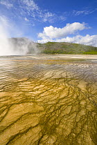 Bacterial mats in Grand Prismatic Pool, Yellowstone National Park, Wyoming