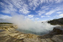 Excelsior Geyser Crater steaming, Yellowstone National Park, Wyoming