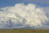 Heavy cumulus clouds gathering before a storm above sagebrush desert, Wyoming