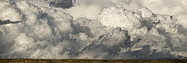 Heavy cumulus clouds gather before storm above sagebrush desert, central Wyoming