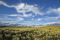 Cumulus and cirrus clouds over sagebrush prairie, Wyoming