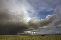 Sagebrush prairie and heavy cumulus clouds, Nevada