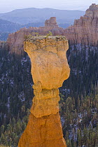 Sandstone hoodoo, Bryce Canyon National Park, Utah