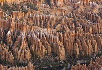 Sandstone hoodoos, Bryce Canyon National Park, Utah