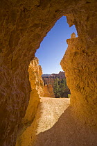Trail through red sandstone tunnel, Bryce Canyon National Park, Utah