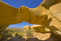 Sandstone arch and hoodoos shaped by erosion, Grand Staircase-Escalante National Monument, Utah