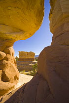 Sandstone hoodoos shaped by erosion, Grand Staircase-Escalante National Monument, Utah