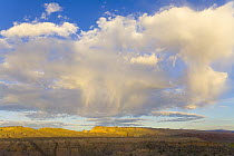 Bright cumulus clouds above arid desert and sandstone bluffs at sunrise, Capitol Reef National Park, Utah