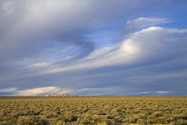 Lenticular and cumulus clouds above remote arid desert, Nevada