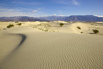 Saline Valley sand dunes, Death Valley National Park, California