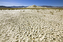 Dry cracked panes of mud, Death Valley National Park, California