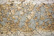 Pattern of dry caked mud near Ubehebe Crater, Death Valley National Park, California