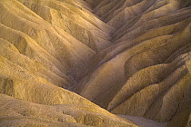 Eroded sandstone ridges near Zabriskie Point, Death Valley National Park, California