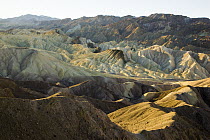Eroded sandstone ridges and buttes of famous Zabriskie Point, Death Valley National Park, California