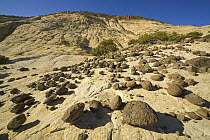 Boulders atop petrified sand dunes created millions of years ago by wind-blown sand, Grand Staircase-Escalante National Monument, Utah