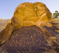 Petroglyphs etched in desert varnish sandstone, Newspaper Rock State Park, Utah