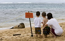 Hawaiian Monk Seal (Monachus schauinslandi) with people watching from a posted sign saying stay back, Kauai, Hawaii