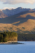 Lake Pukaki, Southern Alps, South Island, New Zealand