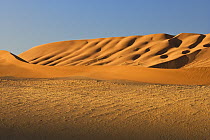 Sand dunes, Sossusvlei, Namib-Naukluft National Park, Namibia