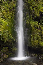 Dawson Falls, Egmont National Park, Taranaki, New Zealand