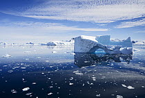 Icebergs, Antarctic Peninsula, Antarctica