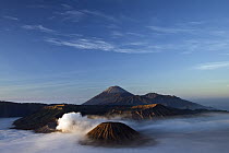 Mount Semeru and Mount Bromo at dawn, Java, Indonesia