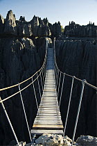Suspension bridge crossing a gorge in the Bemaraha National Park, Bemaraha National Park, western Madagascar