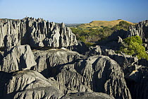 Tsingy rock formations and surrounding dry decidious forest, Bemaraha National Park, western Madagascar