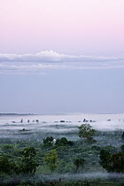 Bekopaka village covered in mist and smoke, Bekopaka, western Madagascar