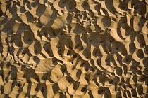 Ripple patterns in sandstone, Tsiribihina River, Madagascar