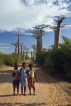 Grandidier's Baobab (Adansonia grandidieri) with Malagasy girls holding water lilies at the Avenue of the Baobabs, Morondava, Madagascar
