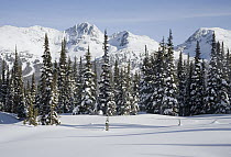 Spearhead Range seen from Whistler Mountain in winter, Whistler, British Columbia, Canada