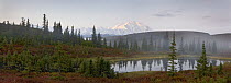 Tundra and pond, Denali National Park, Alaska