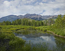 Easely Peak and Big Wood River, Sawtooth National Recreation Area, Idaho