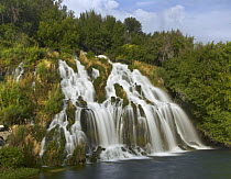 Waterfall, Niagara Springs, Thousand Springs State Park, Idaho