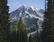 Mount Rainier, Mount Rainier National Park, Washington