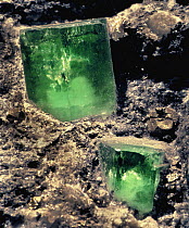 Emeralds in rock, Belgium