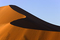 Sand dune, Namib Desert, Namib-Naukluft National Park, Namibia