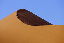 Tourists climbing a sand dune, Namib Desert, Namib-Naukluft National Park, Namibia