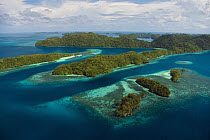 Rock islands covered with rainforest, the limestone islands have been eroded into mushroom-like formations, Palau
