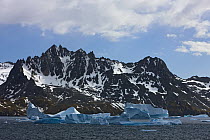 Entrance to Drygalski Fjord with icebergs, South Georgia Island