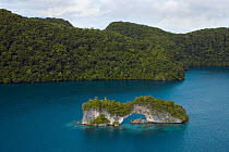 Natural rock bridge of eroded limestone, Palau