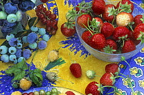 Strawberry (Fragaria sp) and Blueberry (Vaccinium sp) group on colorful tablecloth, Holland