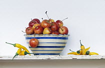 Apple (Malus sp) group in a striped bowl on countertop with peppers, Holland